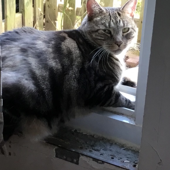 Meet the Posher Other - Meet your Posher, Cheryl